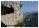 Thumbnail-7