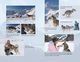 Thumbnail-11