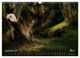 Thumbnail-14