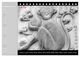 Thumbnail-14