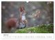Thumbnail-11