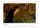 Thumbnail-12