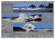 Thumbnail-14