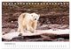 Thumbnail-14