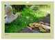 Thumbnail-9