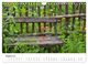 Thumbnail-10