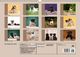 Thumbnail-10