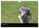 Thumbnail-11