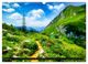 Thumbnail-10