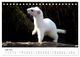 Thumbnail-11