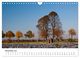 Thumbnail-13