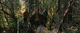 Thumbnail-8