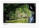 Thumbnail-10