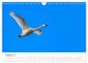 Thumbnail-10