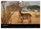 Thumbnail-14