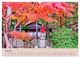 Thumbnail-8