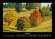 Thumbnail-9