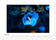 Thumbnail-9