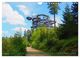 Thumbnail-8
