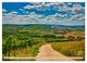 Thumbnail-10