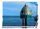 Thumbnail-14