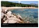 Thumbnail-11