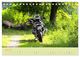Thumbnail-11