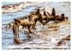 Thumbnail-10