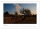 Thumbnail-7