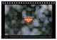 Thumbnail-11