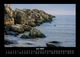 Thumbnail-10