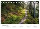 Thumbnail-14