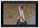 Thumbnail-10