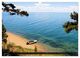 Thumbnail-11