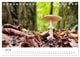 Thumbnail-9