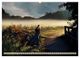 Thumbnail-14