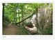 Thumbnail-8