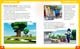 Thumbnail-4