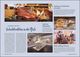 Thumbnail-9