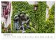 Thumbnail-14