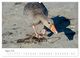 Thumbnail-13