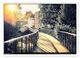 Thumbnail-14