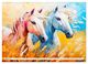 Thumbnail-9