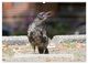 Thumbnail-13