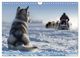 Thumbnail-9