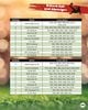 Thumbnail-12