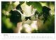 Thumbnail-11