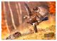 Thumbnail-11