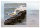 Thumbnail-11