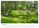 Thumbnail-13
